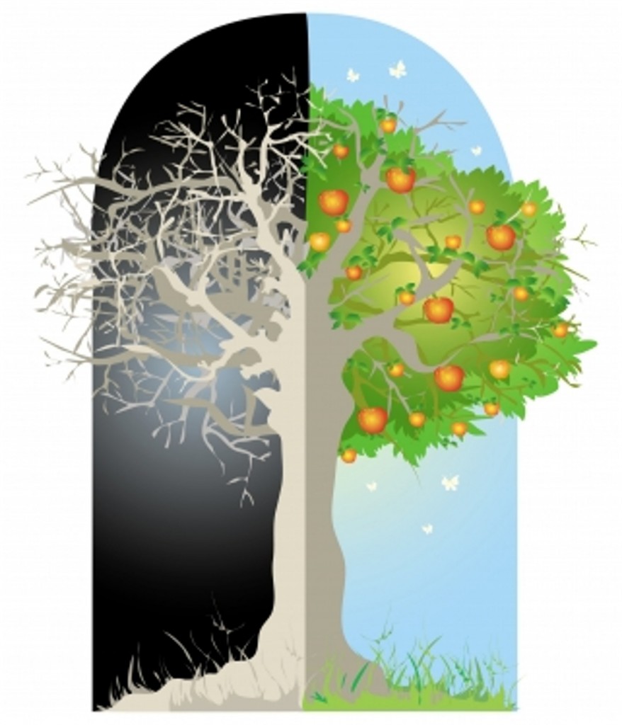 Tree logo